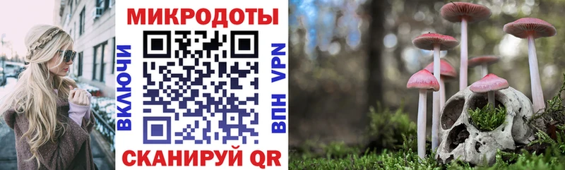 Псилоцибиновые грибы прущие грибы Енисейск